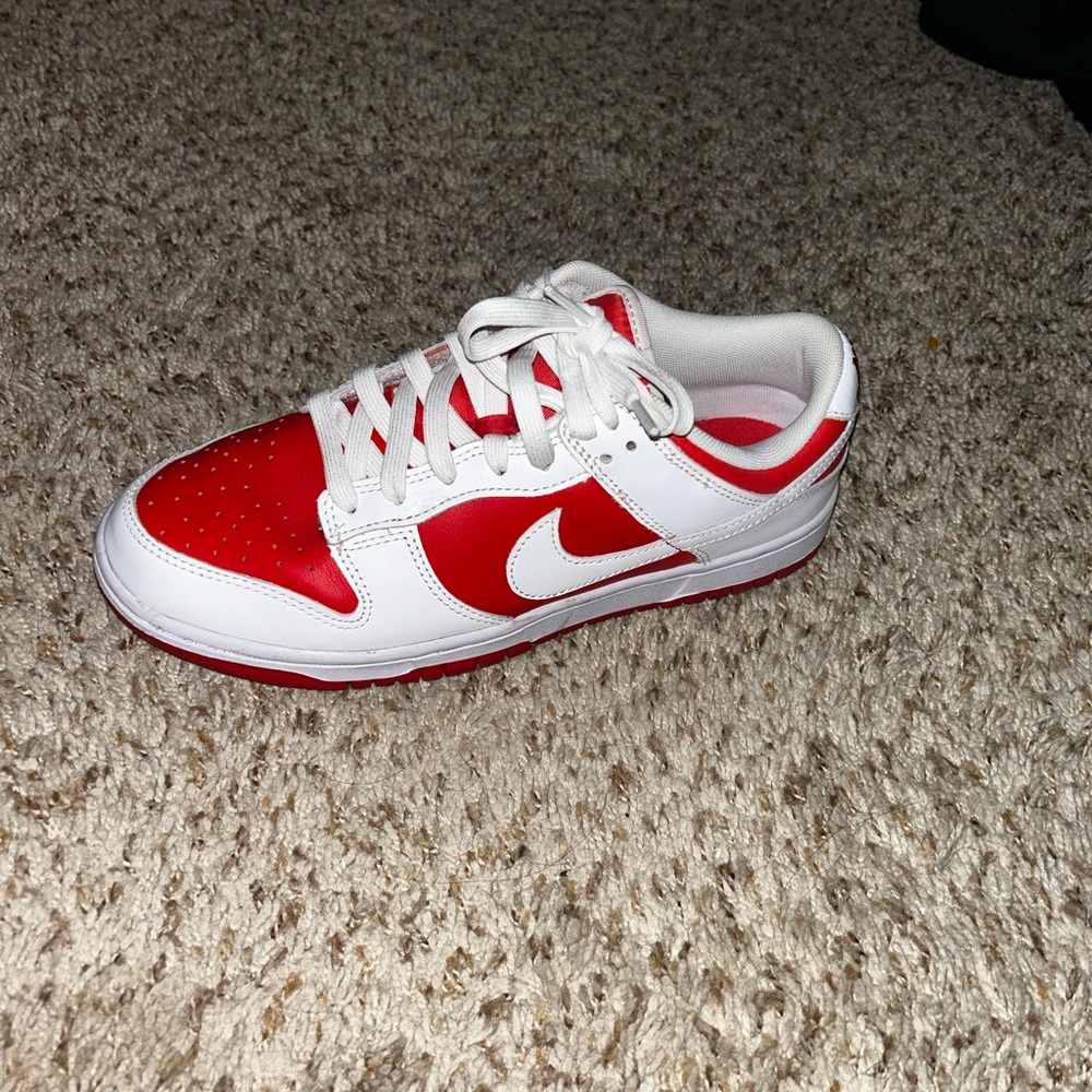 nike sb dunk used